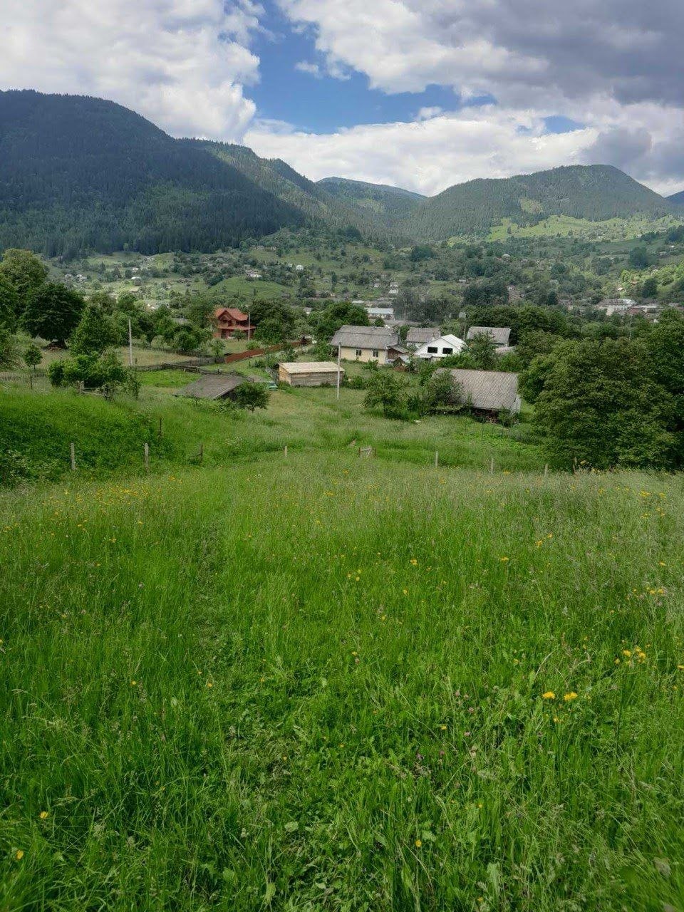 plot of land