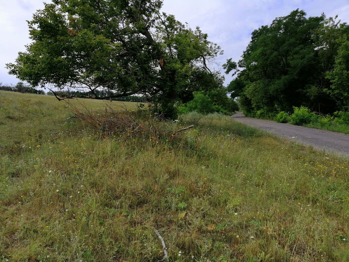 plot of land