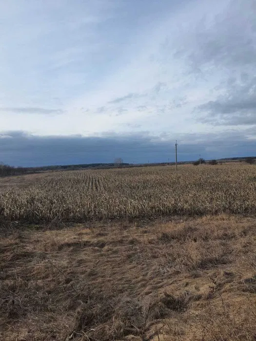 plot of land