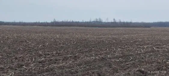 plot of land