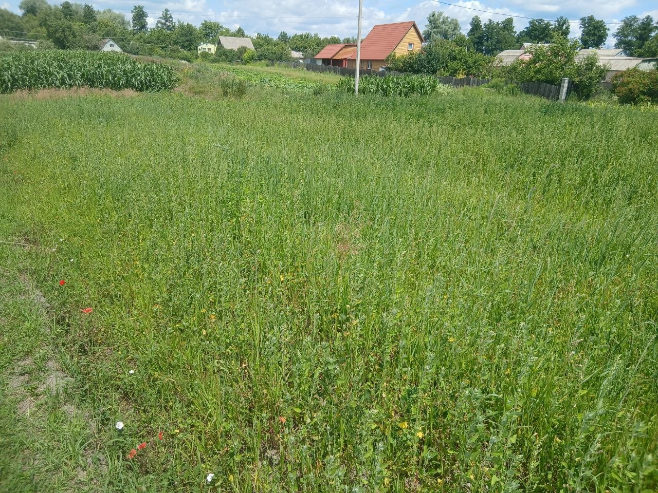 plot of land