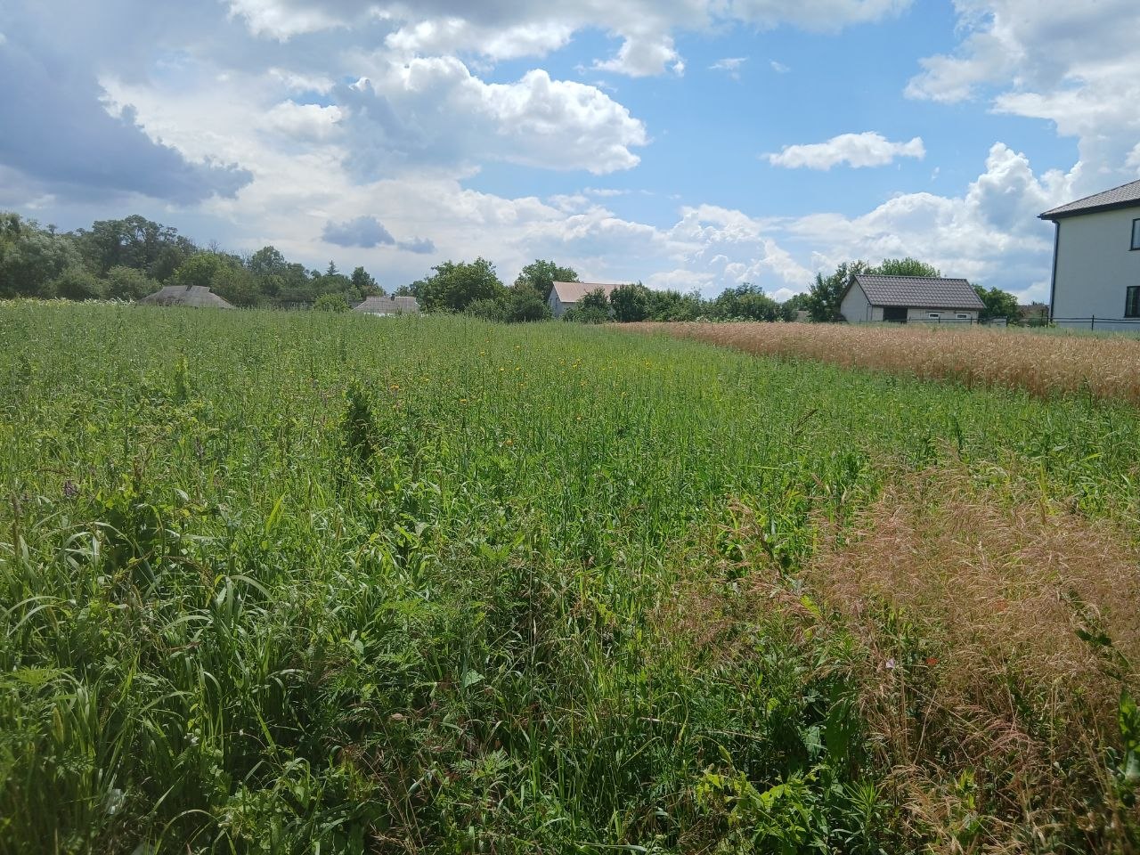 plot of land