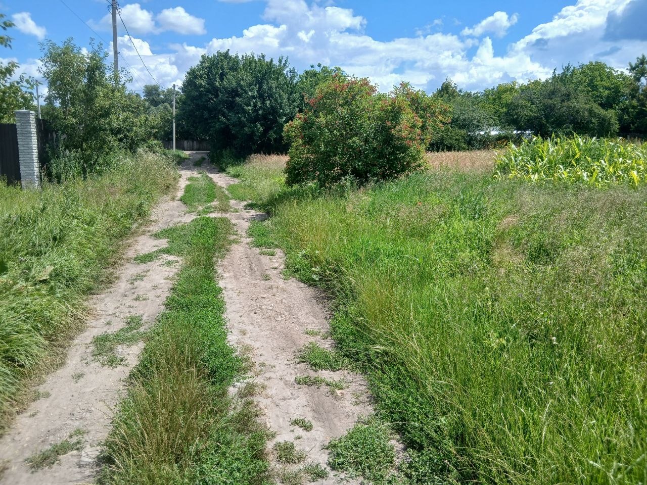 plot of land