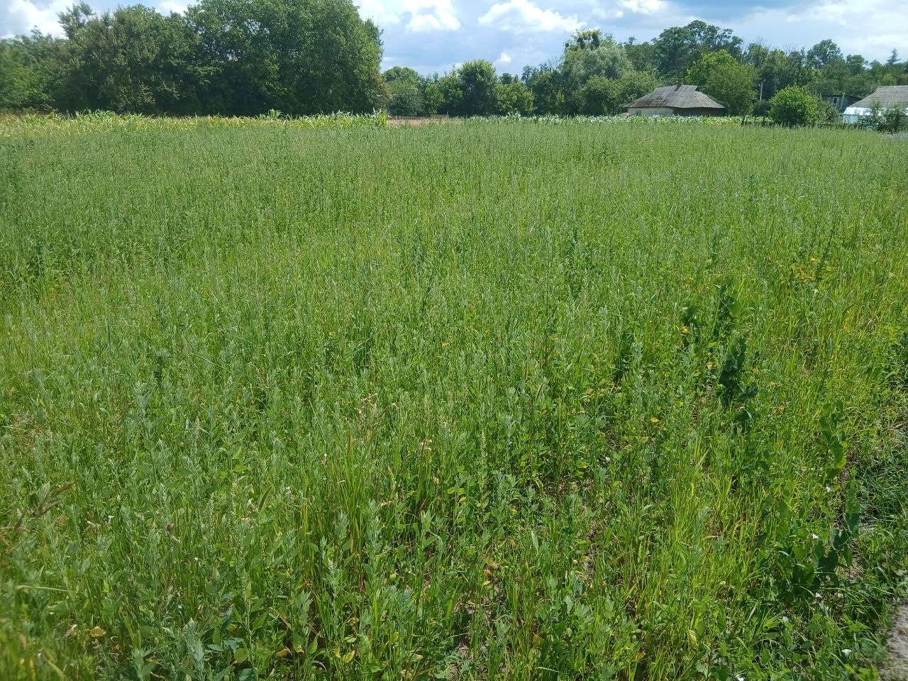 plot of land