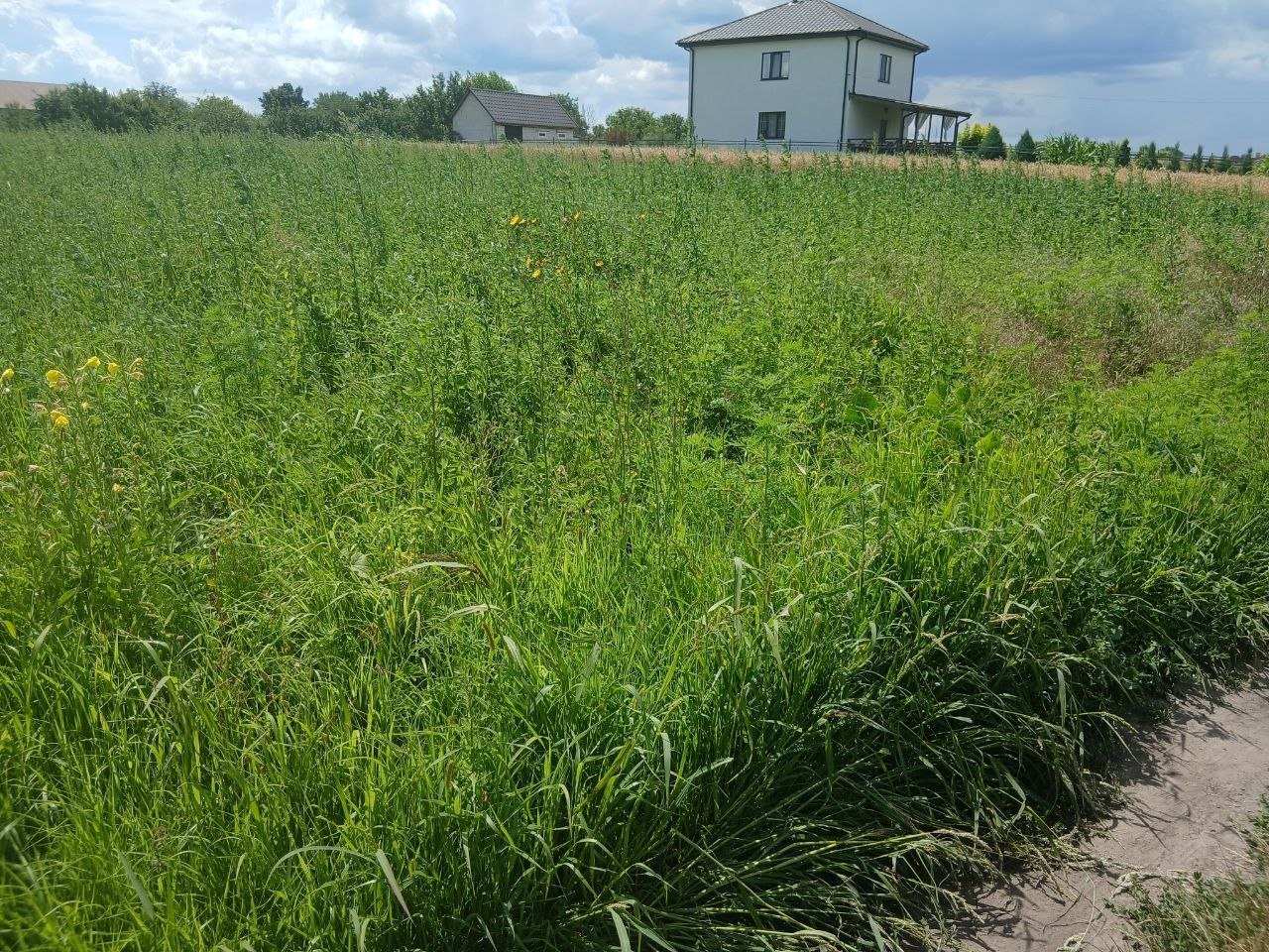 plot of land