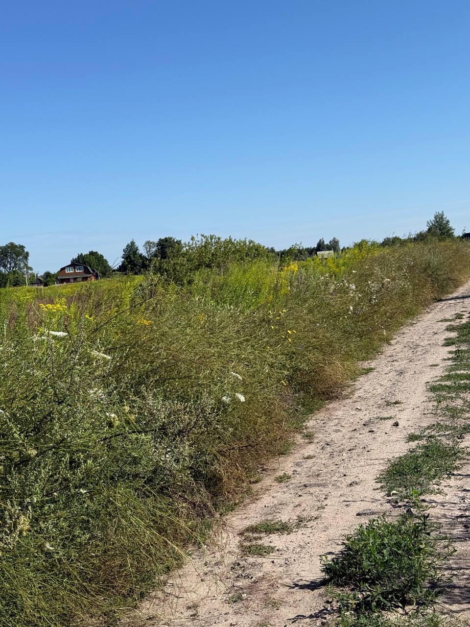 plot of land