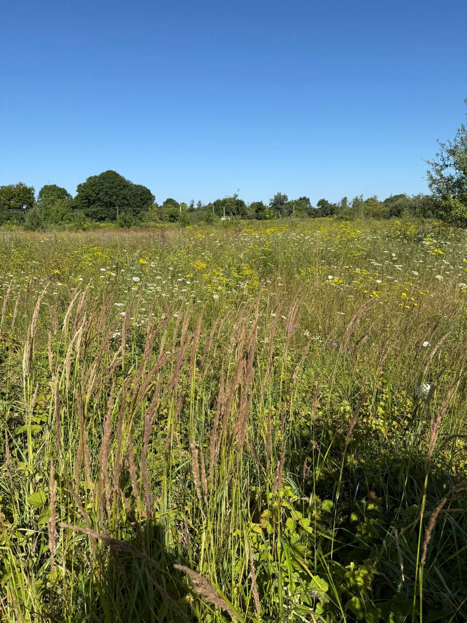 plot of land