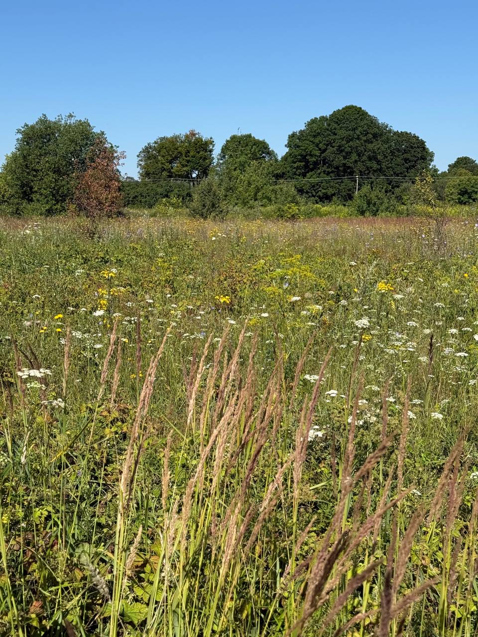 plot of land