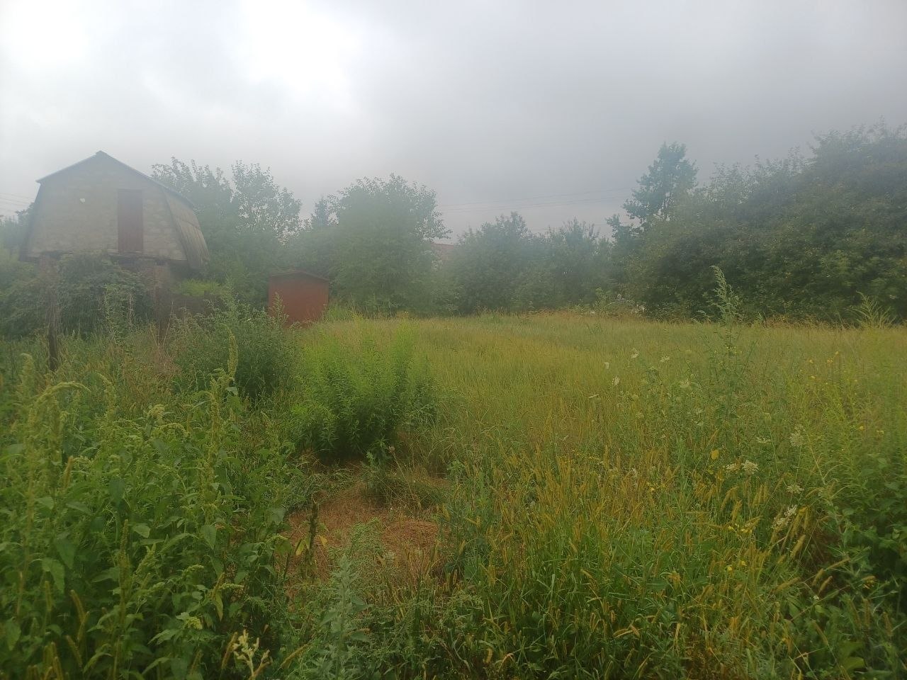 plot of land