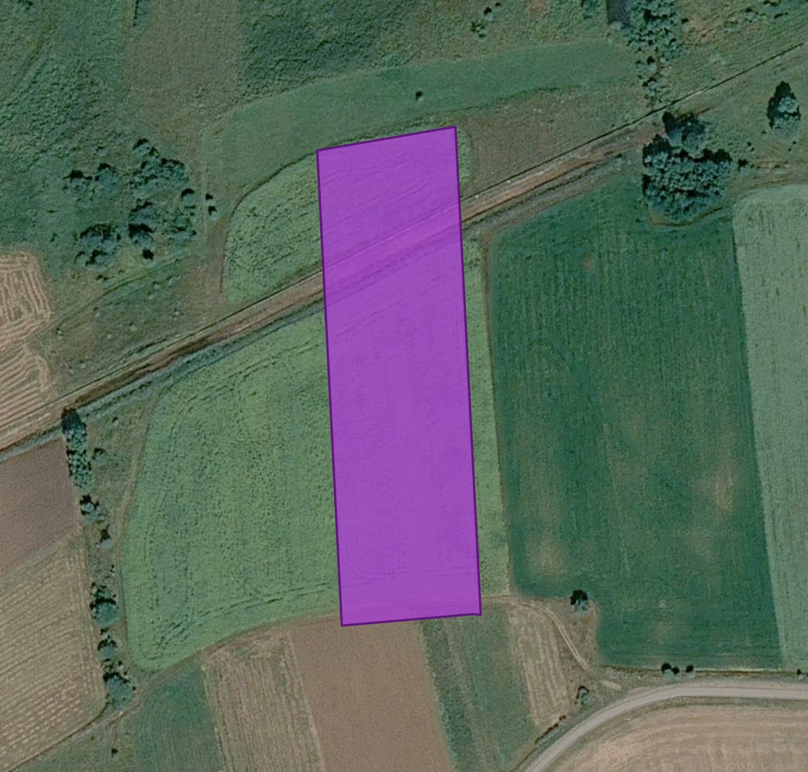 plot of land
