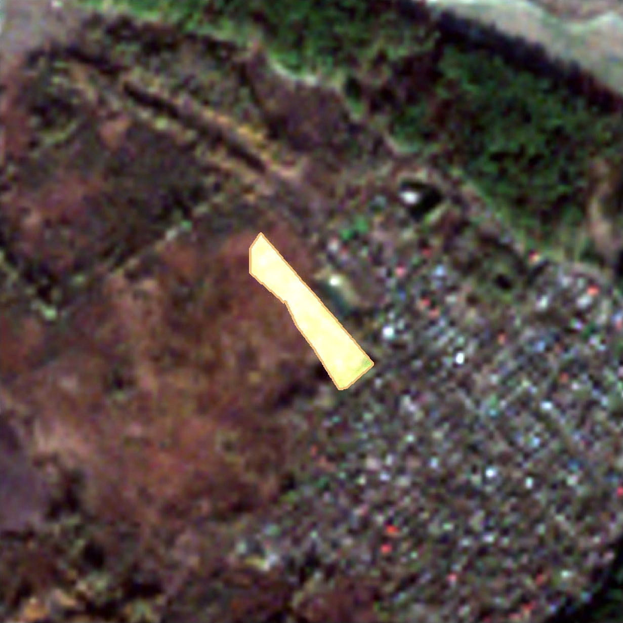 satellite