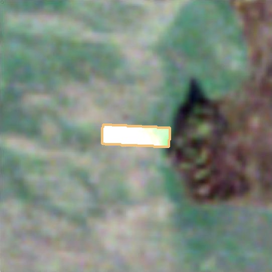 satellite