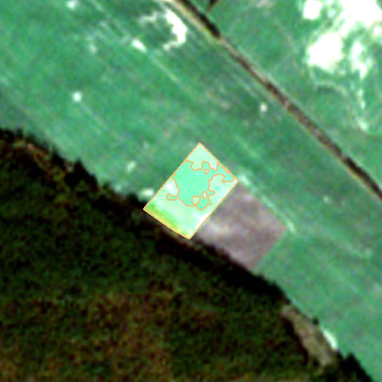 satellite