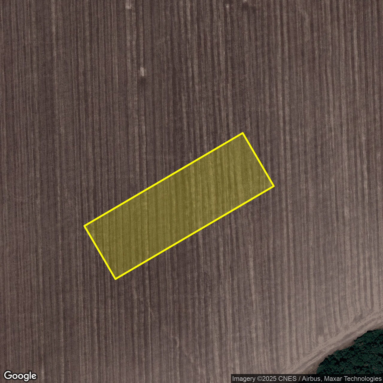 satellite